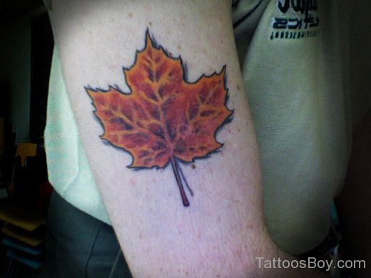 Canada Maple Leaf Tattoo On Bicep | Tattoo Designs, Tattoo Pictures