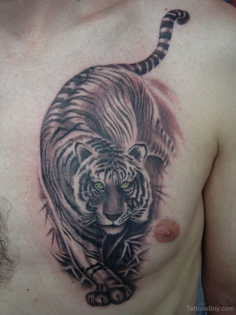 Large healed tiger head and fresh barbed wires tattoo